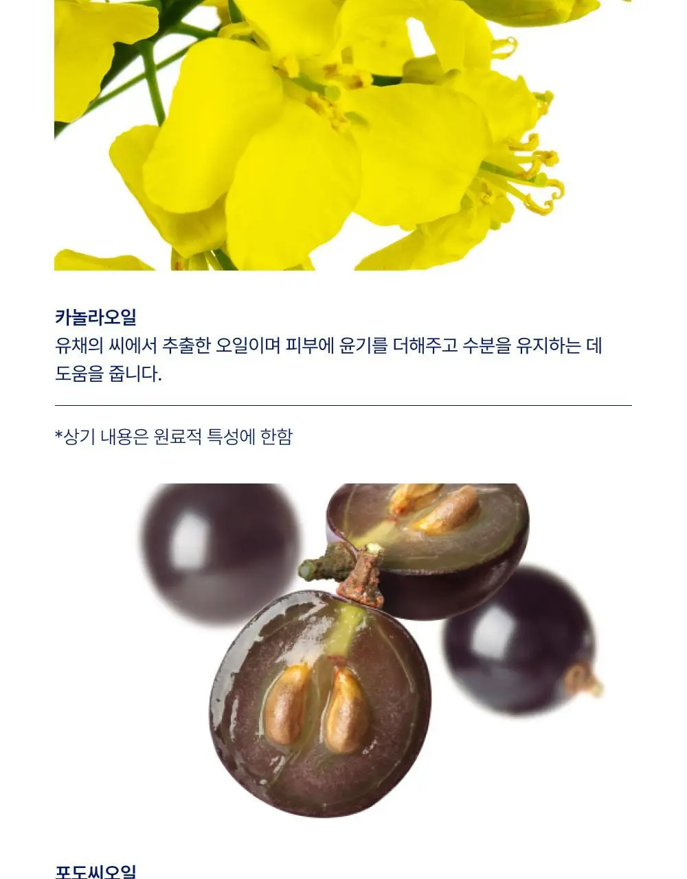 [대용량] 바이오가 썬플라워씨드 페이스 앤 바디오일 1000ml 상세페이지 9